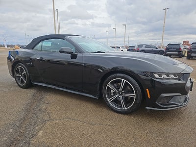 2024 Ford Mustang EcoBoost