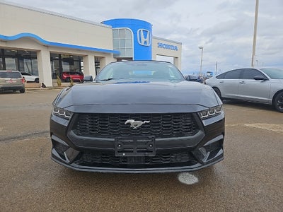 2024 Ford Mustang EcoBoost