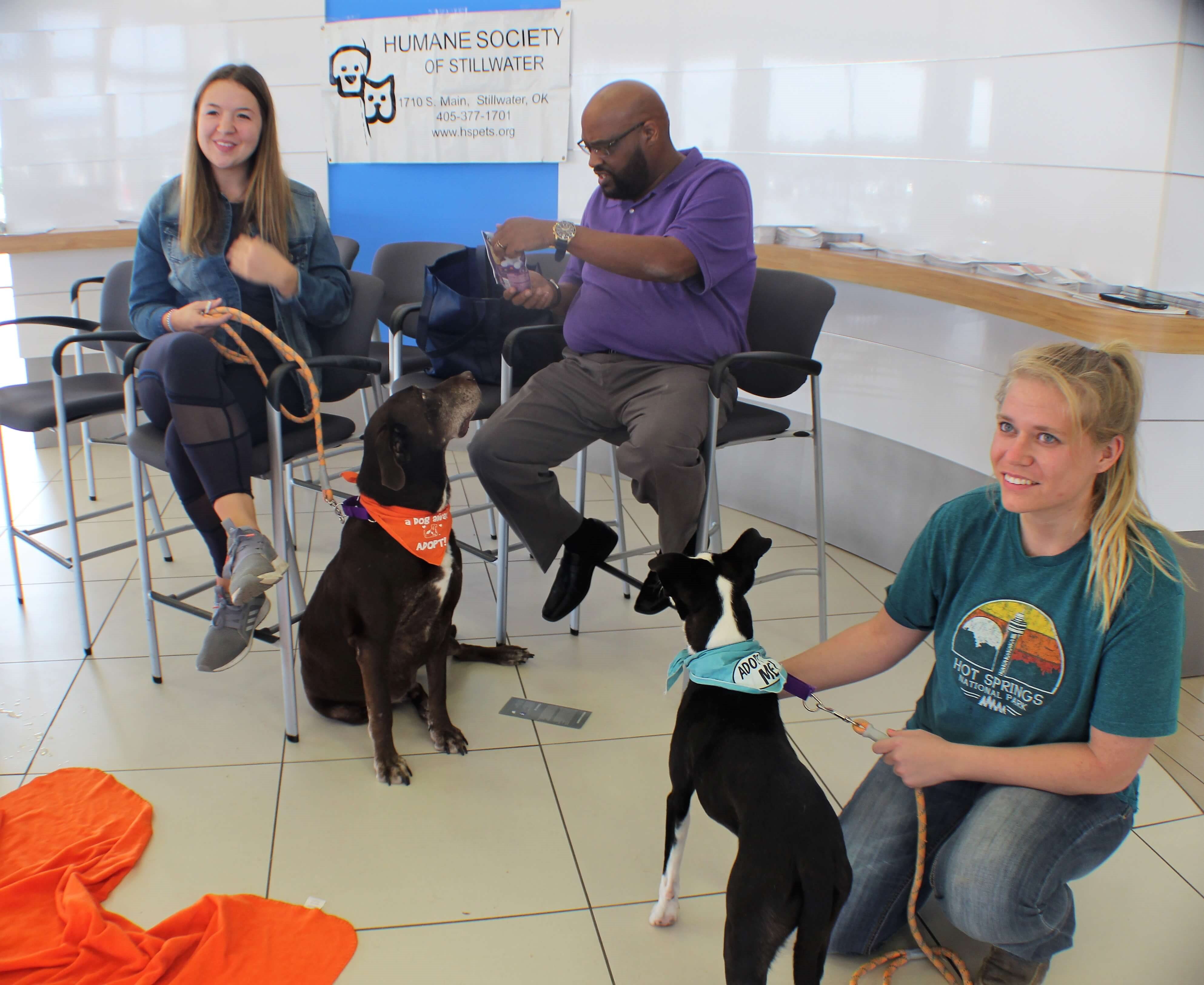 3 people with 2 dogs